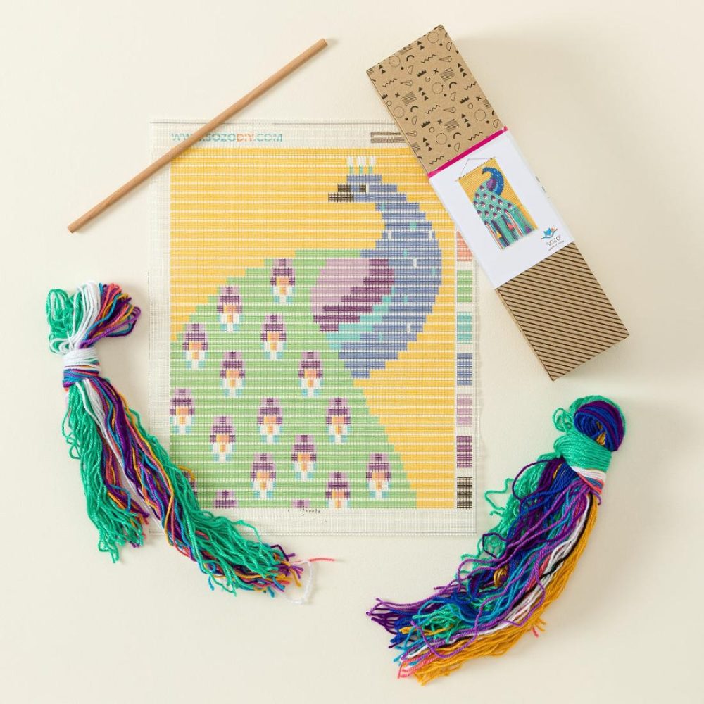 3-D Wall Art |   Playful Peacock Diy Needlepoint Wall Art Kit 3-D Wall Art 3-D Wall Art