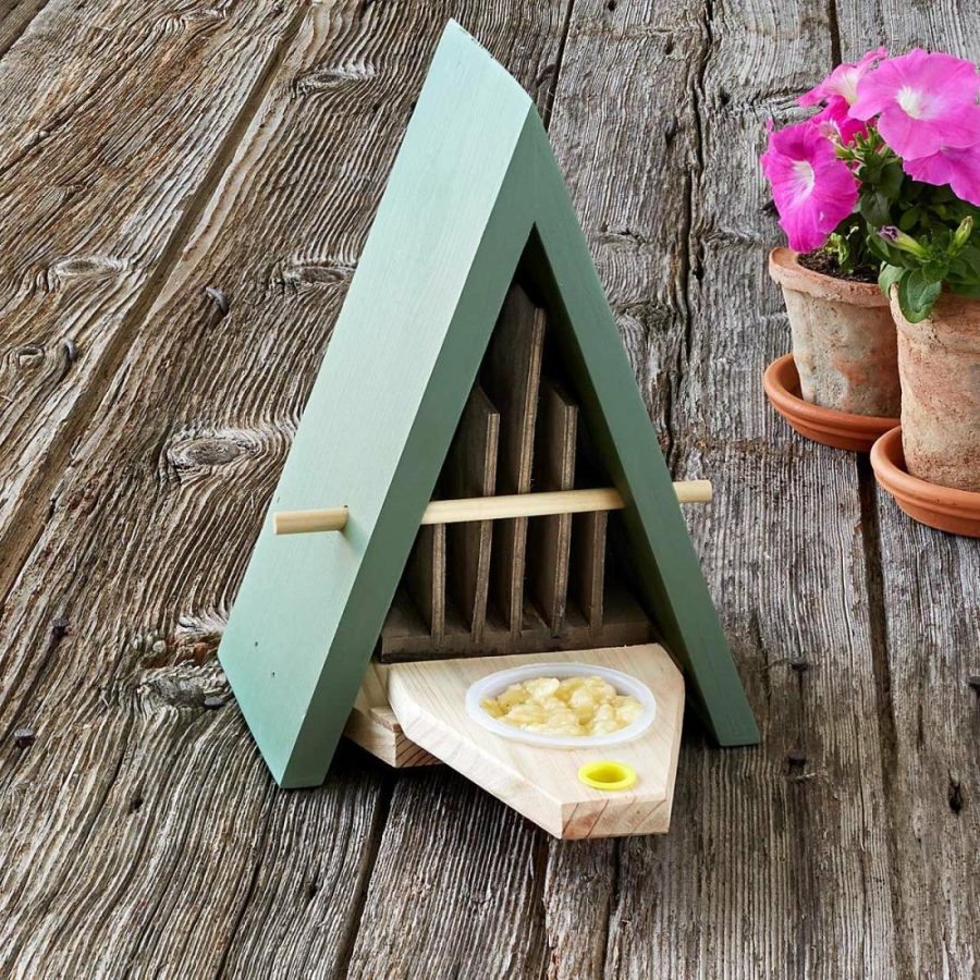 Birdhouses & Feeders |   Butterfly Biome Birdhouses & Feeders Birdhouses & Feeders