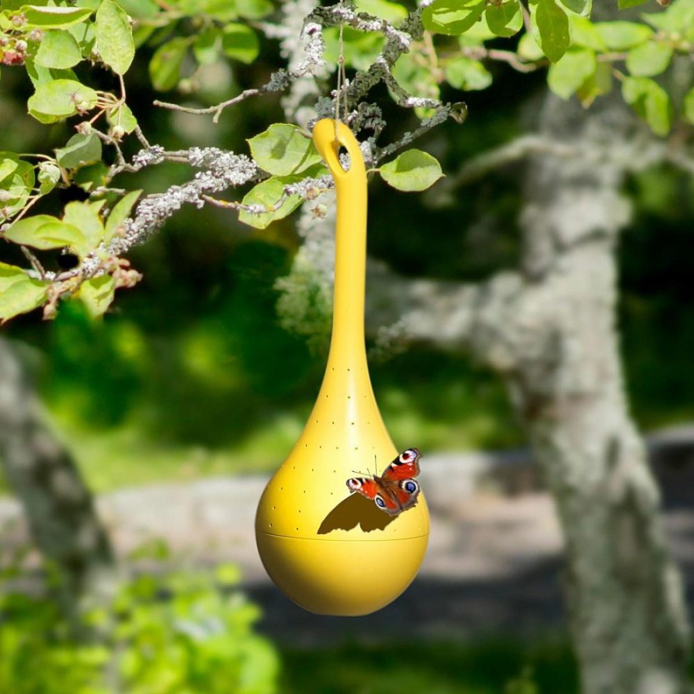 Birdhouses & Feeders |   Hanging Butterfly Oasis Birdhouses & Feeders Birdhouses & Feeders