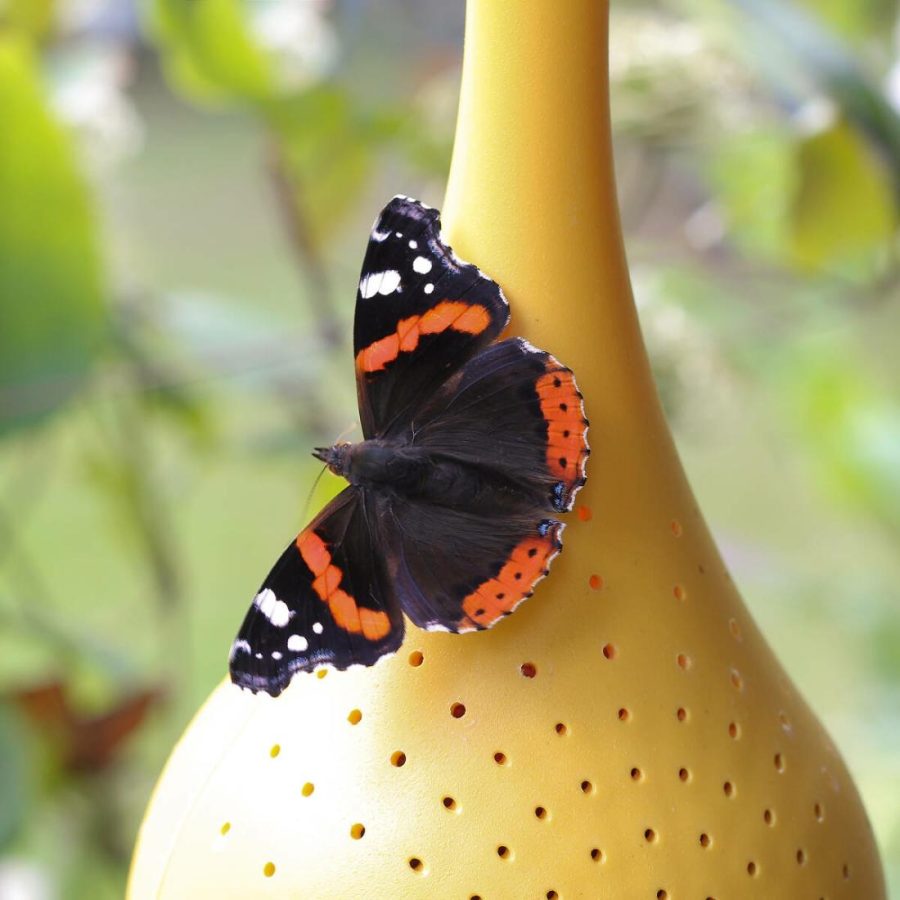 Birdhouses & Feeders |   Hanging Butterfly Oasis Birdhouses & Feeders Birdhouses & Feeders