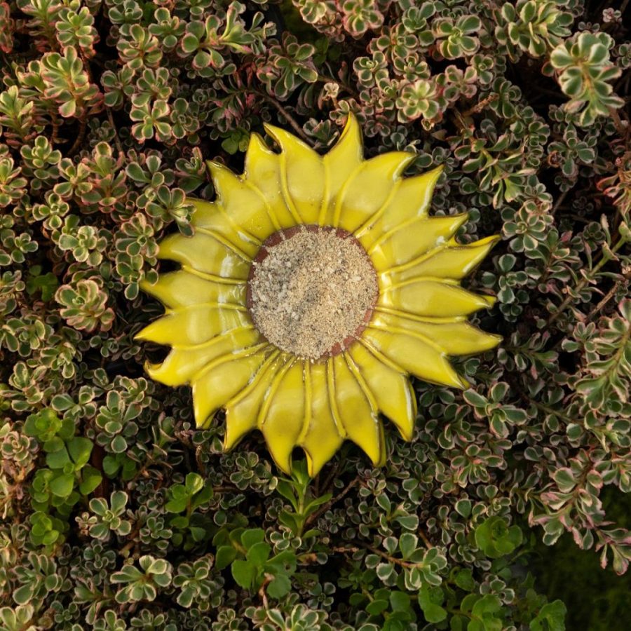 Birdhouses & Feeders |   Yellow Sunflower Butterfly Feeder Birdhouses & Feeders Birdhouses & Feeders