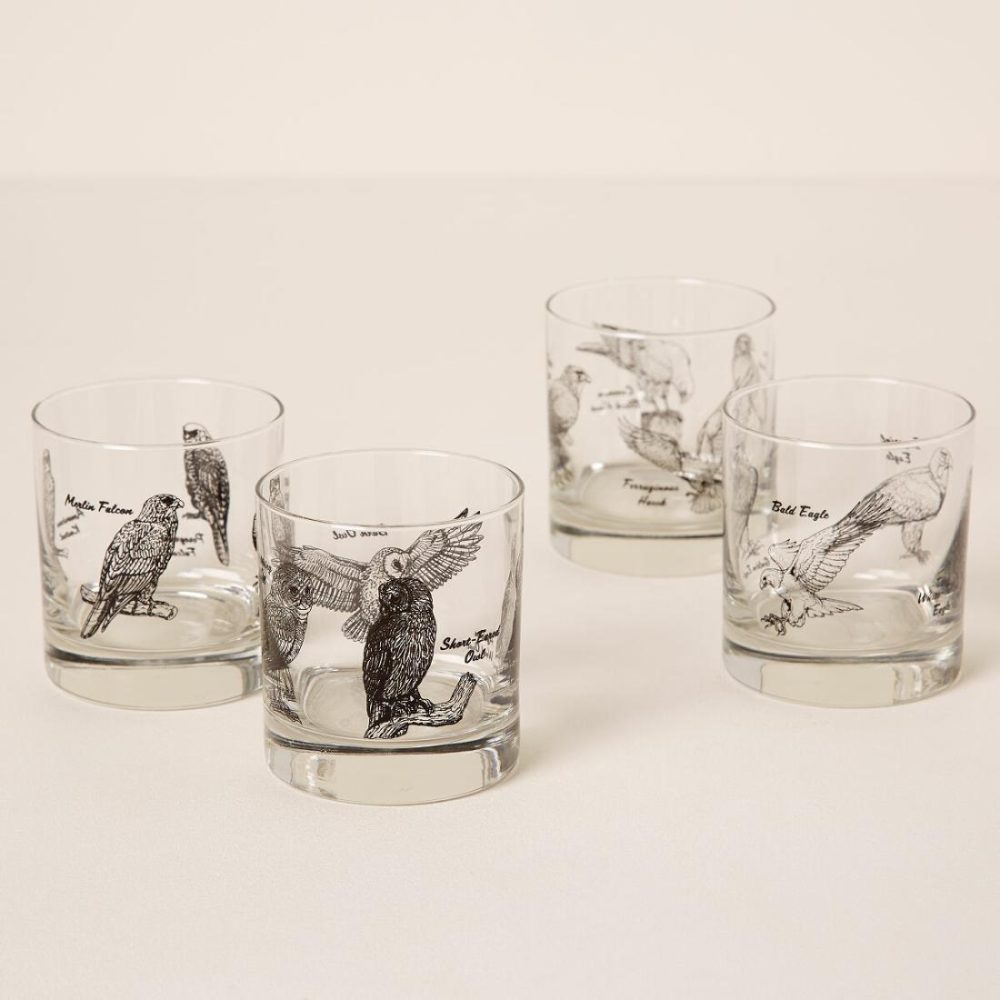 Cocktail Glasses |   Birds Of Prey Rocks Glass Set Cocktail Glasses Cocktail Glasses