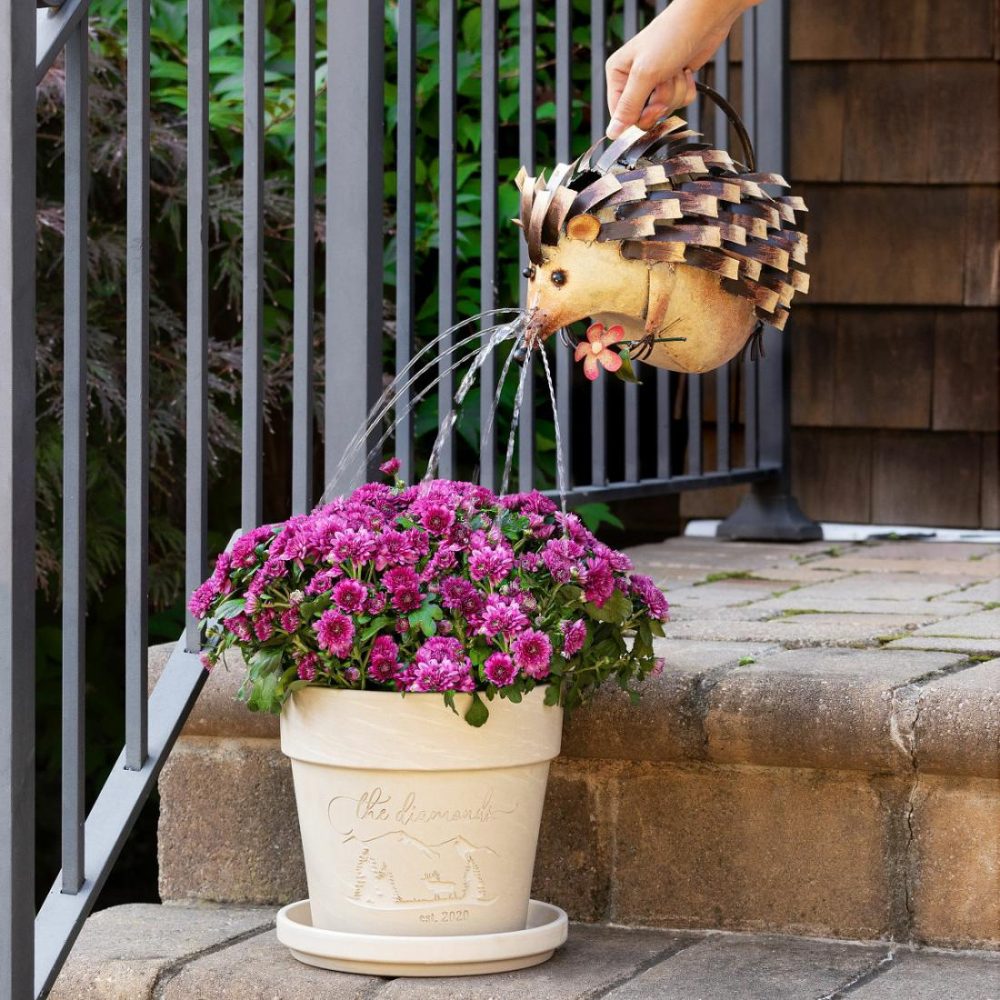 Garden Decor |   Harold The Hedgehog Watering Can Garden Garden Decor