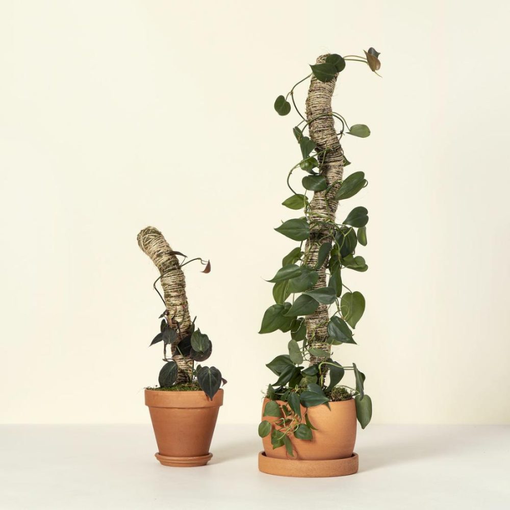 Planters & Terrariums |   Bendable Moss Vine Climbing Pole Garden Planters & Terrariums