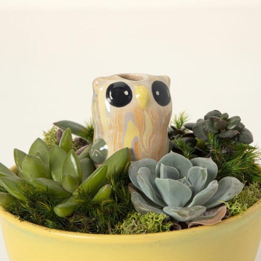 Planters & Terrariums |   Bird & Owl Plant Watering Dripper Garden Planters & Terrariums