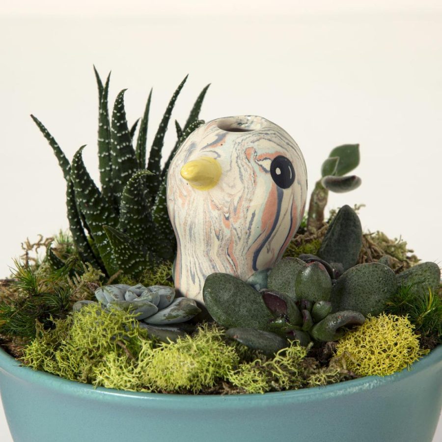 Planters & Terrariums |   Bird & Owl Plant Watering Dripper Garden Planters & Terrariums