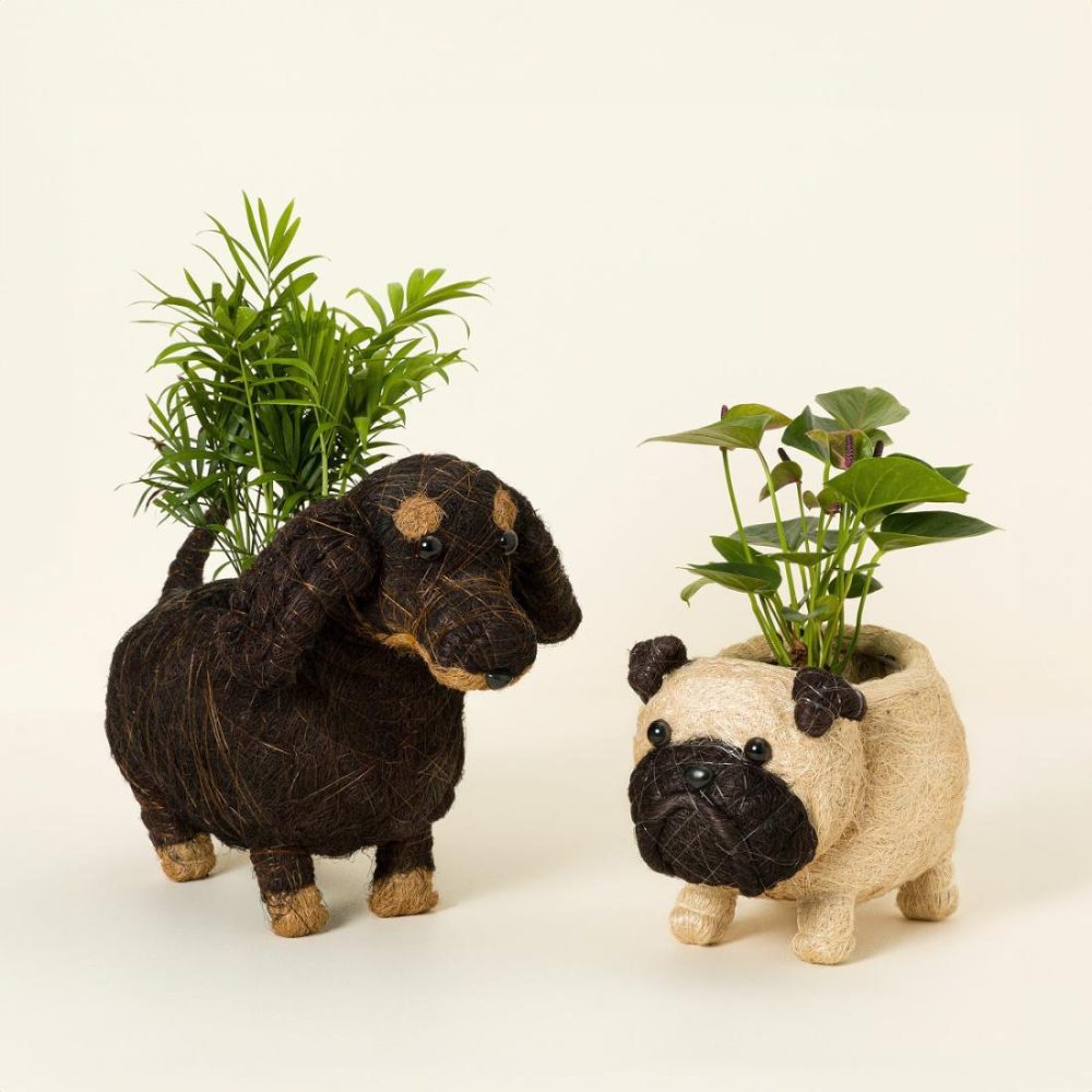 Planters & Terrariums |   Coconut Fiber Dog Planter Garden Planters & Terrariums