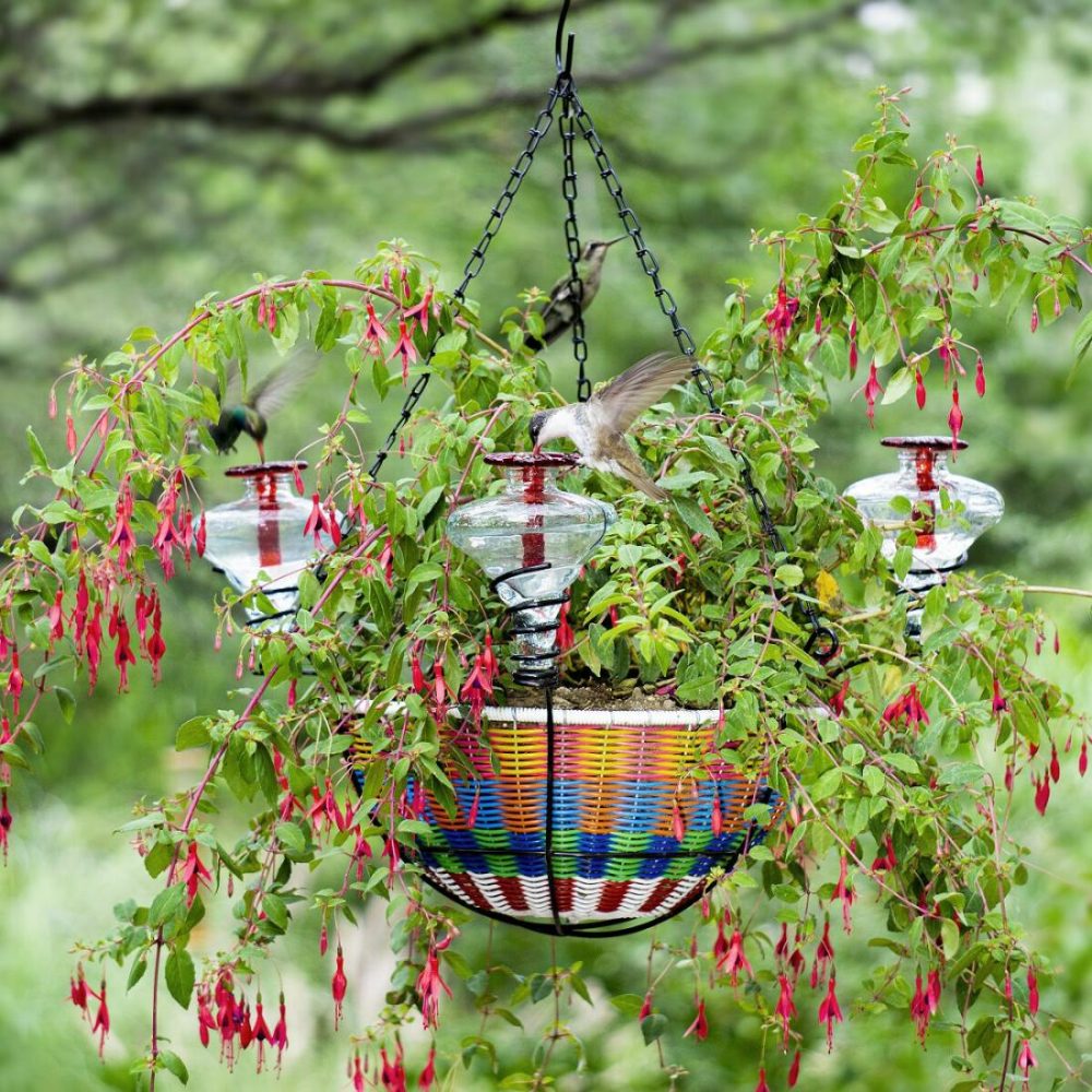 Planters & Terrariums |   Hanging Basket Hummingbird Feeder Birdhouses & Feeders Birdhouses & Feeders