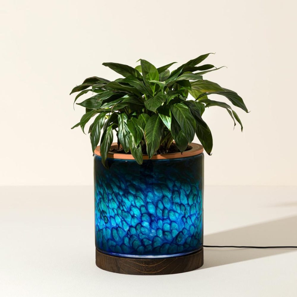 Planters & Terrariums |   Self-Watering Lamp Planter Garden Planters & Terrariums