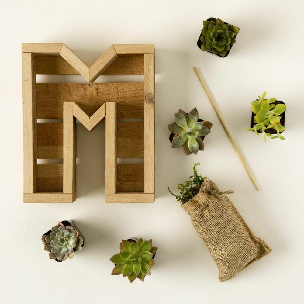 Planters & Terrariums |   Succulent Letter Diy Kit Garden Planters & Terrariums