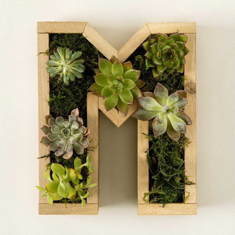 Planters & Terrariums |   Succulent Letter Diy Kit Garden Planters & Terrariums