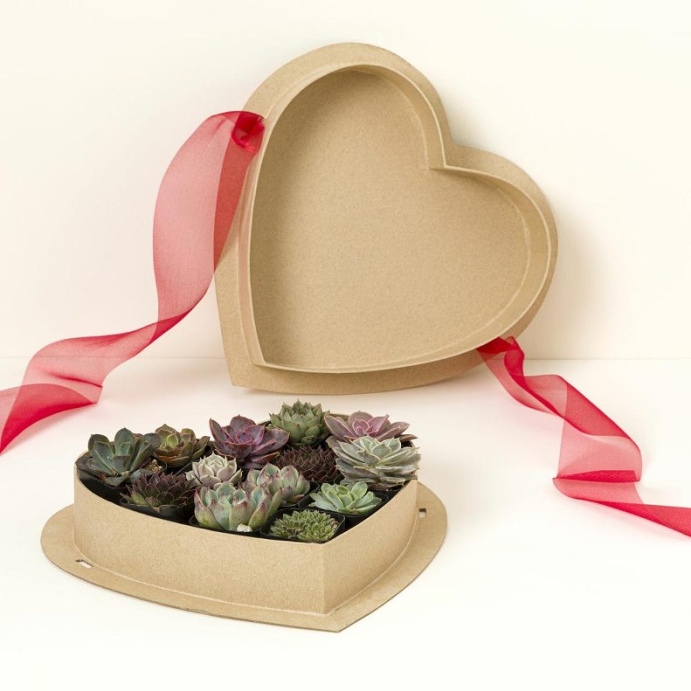 Planters & Terrariums |   Sweetheart Box Of Succulents Garden Planters & Terrariums