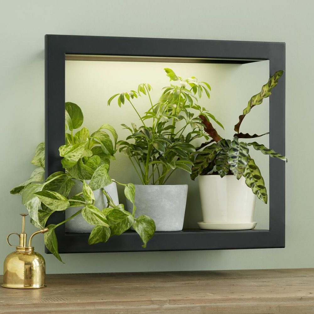 Storage & Organization |   Growlight Frame Shelf Decor Lighting